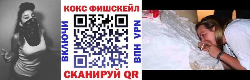 где можно купить   Малая Вишера  COCAIN Fish Scale 
