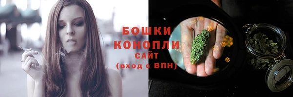 mix Богородицк