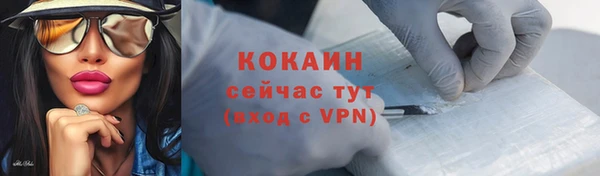 mix Богородицк