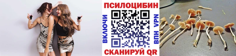 купить закладку  Малая Вишера  Галлюциногенные грибы Cubensis 